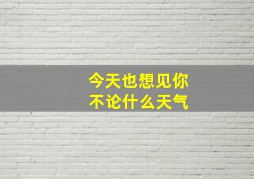 今天也想见你 不论什么天气